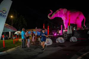 BIB: 
                            <button type="button" onclick="openModal(26552230)" class="btn btn-primary btn-sm float-right btn-popup" data-toggle="modal" data-target=".modal-high-quality">
                        <i class="fas fa-shopping-cart"></i> Add to Cart
                    </button>
                                            <button type="button" onclick="isThisMe(26552230, true)" class="btn btn-success btn-sm float-right btn-popup btn-isme hidden" data-toggle="tooltip" data-placement="bottom" title="นี่คือรูปของคุณใช่ไหม คลิกที่นี่เพื่อเอาเข้าอัลบั้ม">
                        <i class="fas fa-plus"></i> Add to album
                    </button>
                    <button type="button" onclick="isThisMe(26552230, false)" class="btn btn-warning btn-sm float-right btn-popup btn-isnotme hidden">
                        <i class="fas fa-ban"></i> Remove from album
                    </button>